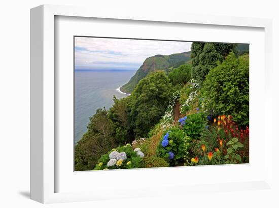 Hortensias and torch lilies on a steep slope near Nordeste, Sao Miguel Island, Azores, Portugal-null-Framed Art Print