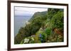 Hortensias and torch lilies on a steep slope near Nordeste, Sao Miguel Island, Azores, Portugal-null-Framed Art Print