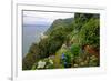 Hortensias and torch lilies on a steep slope near Nordeste, Sao Miguel Island, Azores, Portugal-null-Framed Art Print