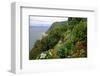 Hortensias and torch lilies on a steep slope near Nordeste, Sao Miguel Island, Azores, Portugal-null-Framed Art Print