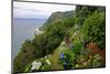 Hortensias and torch lilies on a steep slope near Nordeste, Sao Miguel Island, Azores, Portugal-null-Mounted Art Print