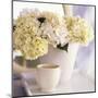 Hortensias Blancs-Aaron McCoy-Mounted Art Print