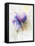 Hortenzzia I-Leticia Herrera-Framed Stretched Canvas