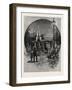 Horticultural Gardens, Toronto and Vicinity, Canada, Nineteenth Century-null-Framed Giclee Print