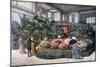 Horticulture Exposition, Cours La Reine, Paris, 1892-F Meaulle-Mounted Giclee Print