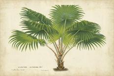 Tropical Rhododendron I-Horto Van Houtteano-Art Print