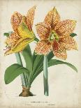 Tropical Rhododendron I-Horto Van Houtteano-Art Print