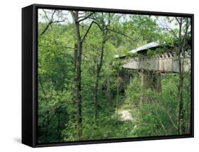 Horton Mill Covered Bridge, Alabama, USA-William Sutton-Framed Stretched Canvas