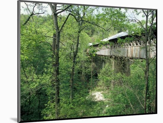 Horton Mill Covered Bridge, Alabama, USA-William Sutton-Mounted Photographic Print