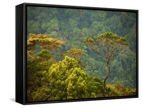 Horton Plain National Park Landscape, Sri Lanka-Ellen Clark-Framed Stretched Canvas