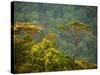 Horton Plain National Park Landscape, Sri Lanka-Ellen Clark-Stretched Canvas