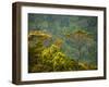 Horton Plain National Park Landscape, Sri Lanka-Ellen Clark-Framed Photographic Print