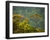 Horton Plain National Park Landscape, Sri Lanka-Ellen Clark-Framed Photographic Print