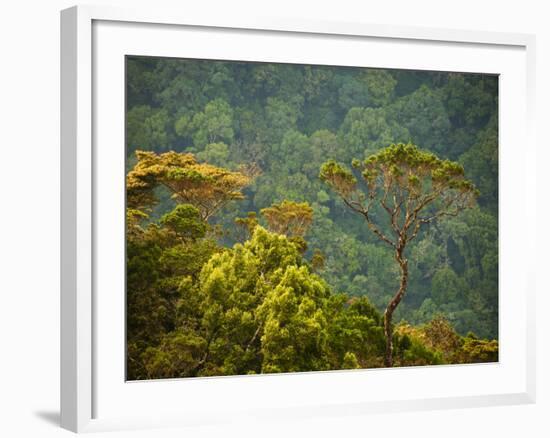 Horton Plain National Park Landscape, Sri Lanka-Ellen Clark-Framed Photographic Print