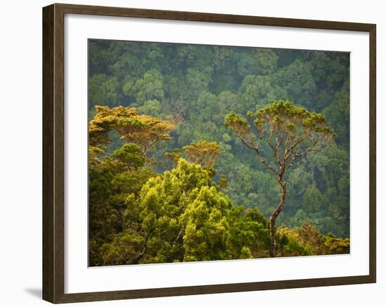 Horton Plain National Park Landscape, Sri Lanka-Ellen Clark-Framed Photographic Print