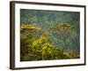 Horton Plain National Park Landscape, Sri Lanka-Ellen Clark-Framed Photographic Print