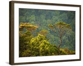 Horton Plain National Park Landscape, Sri Lanka-Ellen Clark-Framed Photographic Print