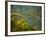 Horton Plain National Park Landscape, Sri Lanka-Ellen Clark-Framed Photographic Print