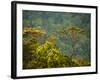 Horton Plain National Park Landscape, Sri Lanka-Ellen Clark-Framed Photographic Print