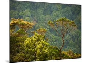 Horton Plain National Park Landscape, Sri Lanka-Ellen Clark-Mounted Photographic Print