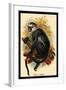 Hose's Langur-G.r. Waterhouse-Framed Art Print