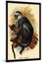 Hose's Langur-G.r. Waterhouse-Mounted Art Print