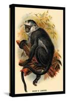 Hose's Langur-G.r. Waterhouse-Stretched Canvas