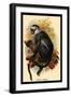 Hose's Langur-G.r. Waterhouse-Framed Art Print