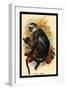 Hose's Langur-G.r. Waterhouse-Framed Art Print