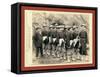 Hose Team. the Champion Chinese Hose Team of America-John C. H. Grabill-Framed Stretched Canvas