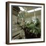 Hospital Operating Theatre, Royal Masonic Hospital, Hammersmith, London, 1980-Michael Walters-Framed Photographic Print