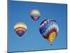 Hot Air Balloon, Albuquerque Balloon Fiesta, Albuquerque, New Mexico, USA-Steve Vidler-Mounted Photographic Print