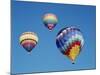 Hot Air Balloon, Albuquerque Balloon Fiesta, Albuquerque, New Mexico, USA-Steve Vidler-Mounted Photographic Print