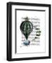 Hot Air Balloon and Birds-Fab Funky-Framed Art Print