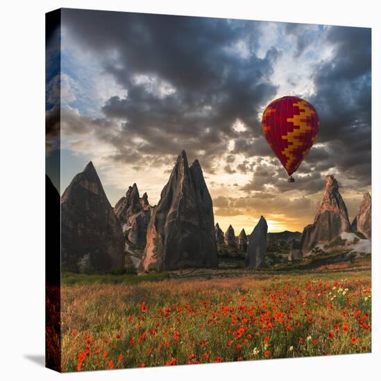 Hot Air Balloon Flying over Red Poppies Field Cappadocia Region, Turkey-Tetyana Kochneva-Stretched Canvas