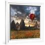 Hot Air Balloon Flying over Red Poppies Field Cappadocia Region, Turkey-Tetyana Kochneva-Framed Photographic Print