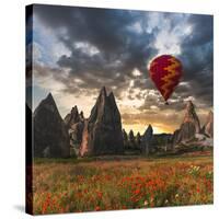 Hot Air Balloon Flying over Red Poppies Field Cappadocia Region, Turkey-Tetyana Kochneva-Stretched Canvas