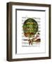 Hot Air Balloon Green-Fab Funky-Framed Art Print