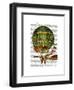 Hot Air Balloon Green-Fab Funky-Framed Art Print