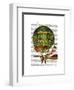 Hot Air Balloon Green-Fab Funky-Framed Art Print