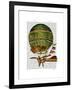 Hot Air Balloon Green-Fab Funky-Framed Art Print