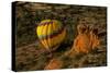 Hot Air Balloon, Red Rock, Coconino Nf, Sedona, Arizona, USA-Michel Hersen-Stretched Canvas