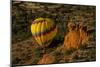 Hot Air Balloon, Red Rock, Coconino Nf, Sedona, Arizona, USA-Michel Hersen-Mounted Photographic Print