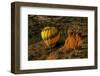 Hot Air Balloon, Red Rock, Coconino Nf, Sedona, Arizona, USA-Michel Hersen-Framed Photographic Print