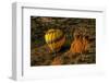 Hot Air Balloon, Red Rock, Coconino Nf, Sedona, Arizona, USA-Michel Hersen-Framed Photographic Print