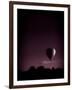 Hot Air Balloon-David Ridley-Framed Photographic Print