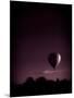 Hot Air Balloon-David Ridley-Mounted Photographic Print