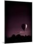 Hot Air Balloon-David Ridley-Mounted Photographic Print