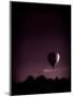 Hot Air Balloon-David Ridley-Mounted Photographic Print