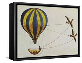 Hot Air Balloon-Science Source-Framed Stretched Canvas